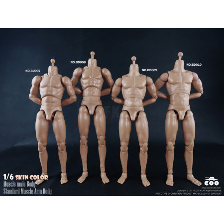 1/6 Scale Standard Muscle Arm High Body